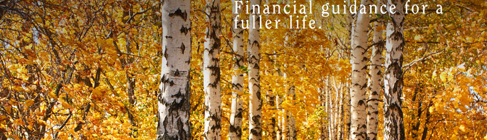 Financial advisors - Birch Cove Group