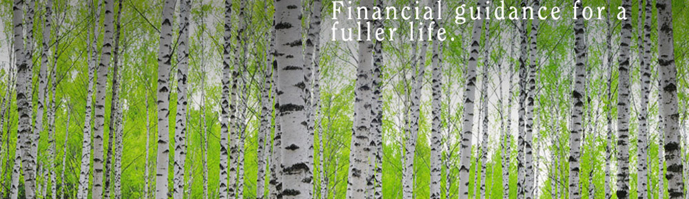 Financial consulting services Birch Cove Group March